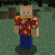 User Gravatar