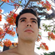 User Gravatar