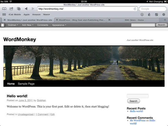 wordpress installed using iPad