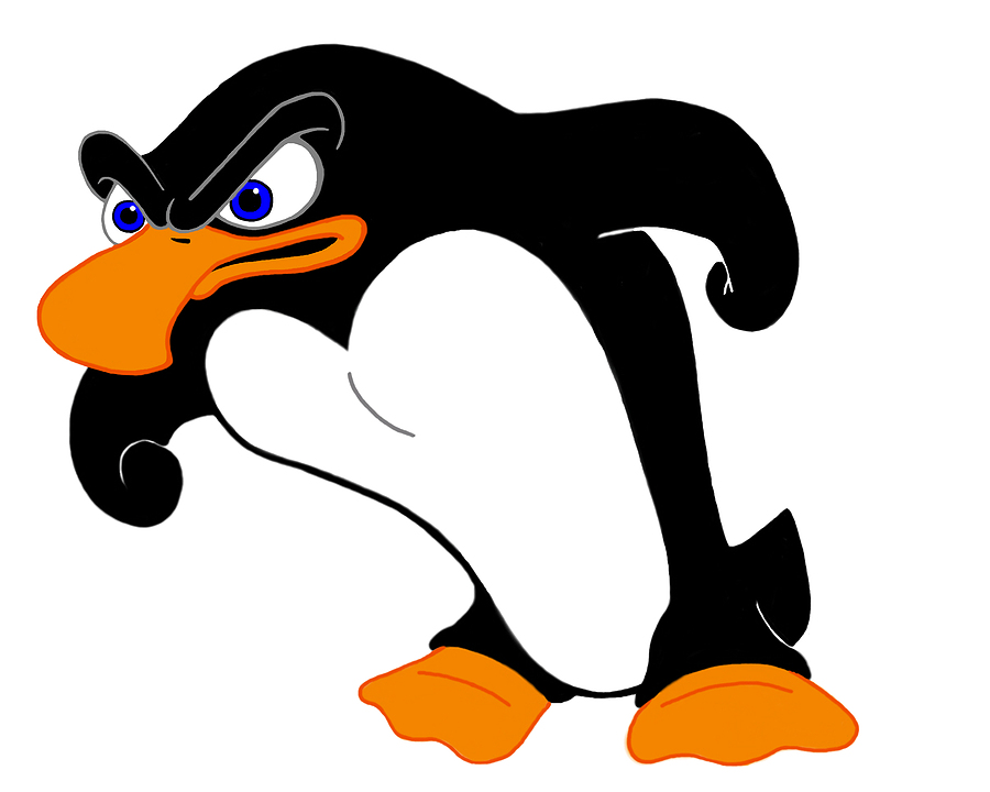 Seven things every SEO should know about Google Penguin update
