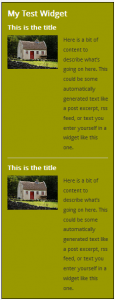 WordPress Widgets - Screenshot of a test widget 8