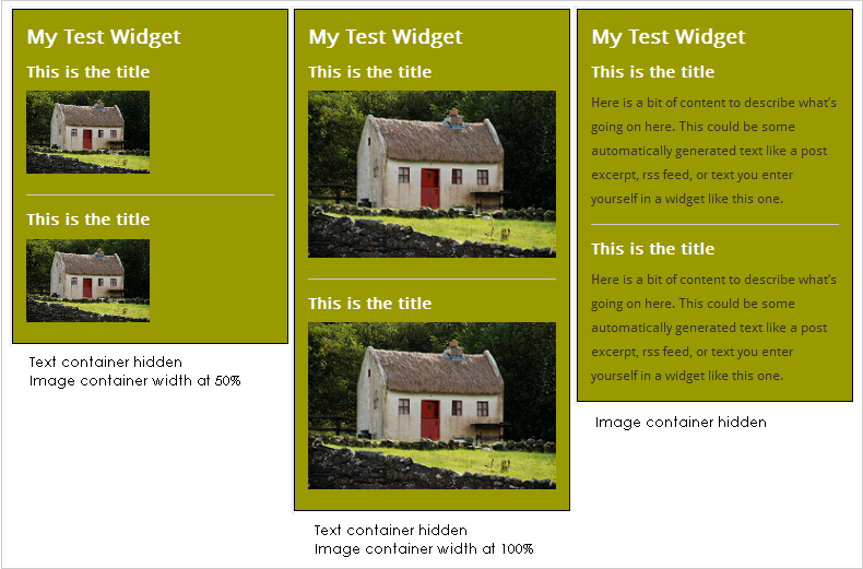 WordPress Widgets - Screenshot of a test widget 9