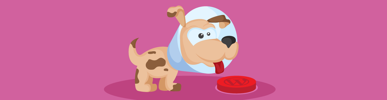 protecting wordpress from dangerous clients