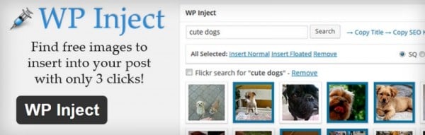 1. WP Inject image