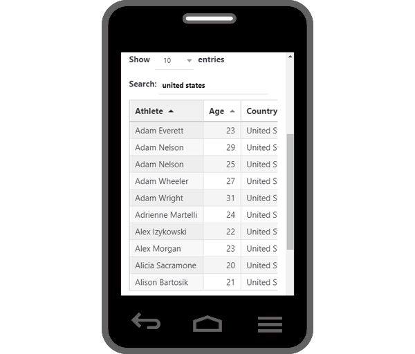 Mockup of mobile responsive table created using wpDataTables plugin.