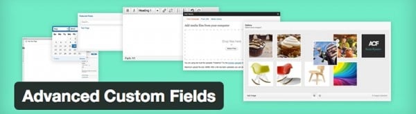 Advanced Custom Fields image