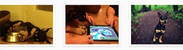 Regenerate Thumbnails image