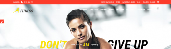 Fitness Sport Gym image