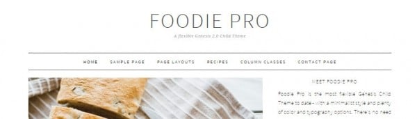 Foodie Pro image