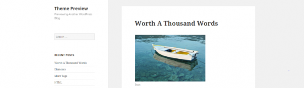 Twenty Fifteen image