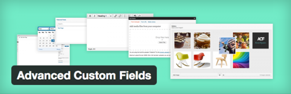 Advanced Custom Fields image