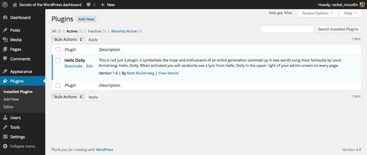 Viewing active plugins in WordPress
