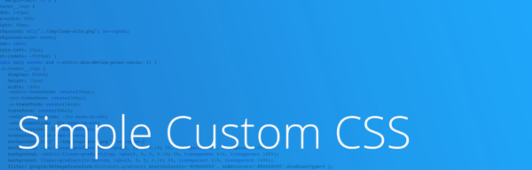 Simple Custom CSS Instead of Jetpack’s Custom CSS image