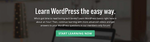WP 101 image
