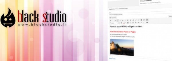 TinyMCE Widget image