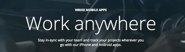 Wrike image