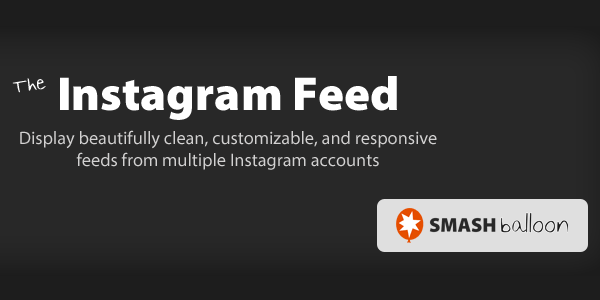 Instagram Feed image