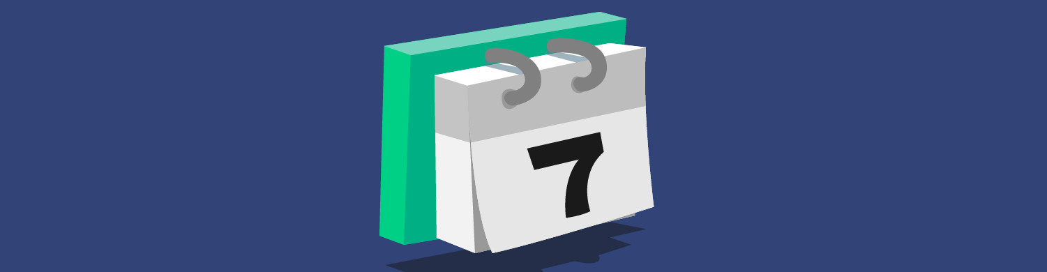 Daily WordPress freelance schedule