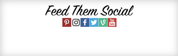 Feed Them Social Plugin (Free) image