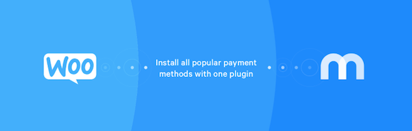 Mollie Payments for WooCommerce Plugin image
