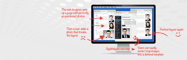 DigiWidgets Image Editor image