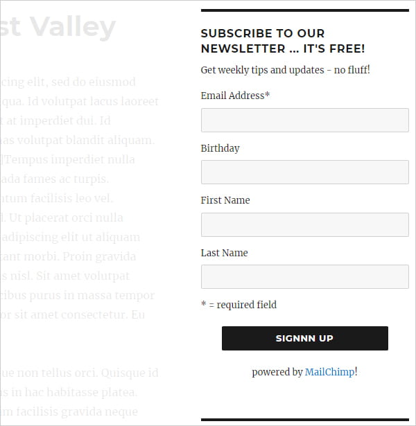 WordPress Mailchimp widget form.