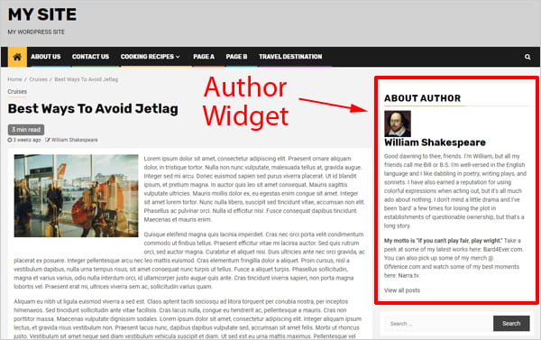 Meks Author Widget displaying on sidebar.