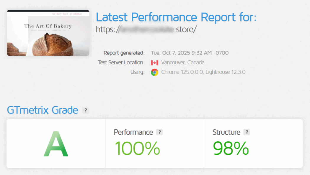 GTmetrix score of 100.