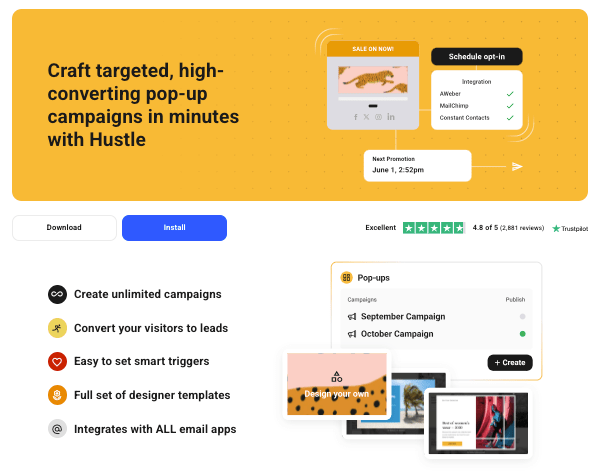 a preview of hustle, our expert WordPress pop-up campaigns plugin