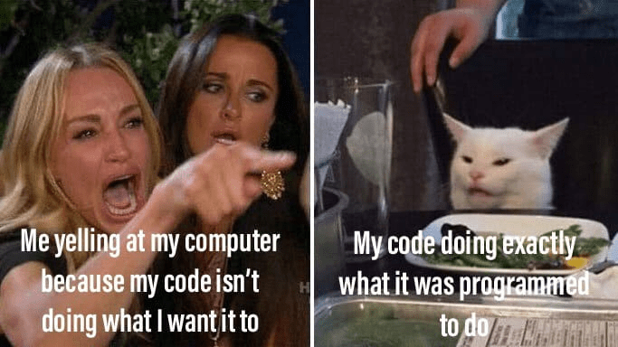 Meme showing a person yelling at their computer because the code isn’t working as expected, while the code smugly does exactly what it was programmed to do.