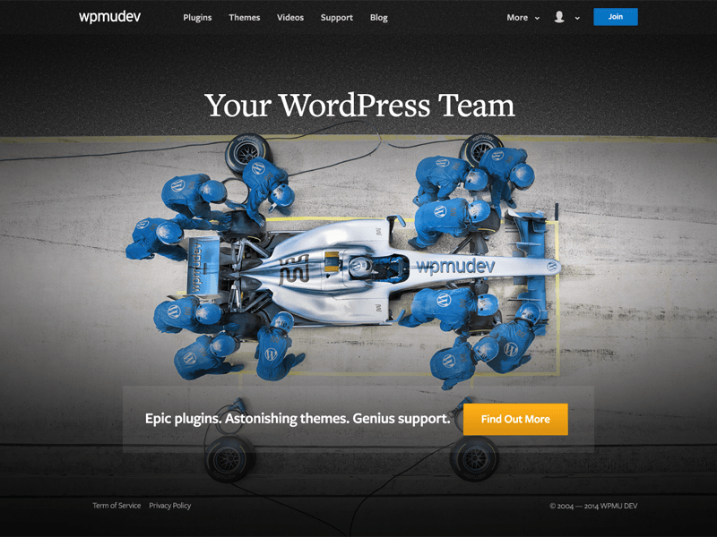 WPMU DEV 2015 v.1.1