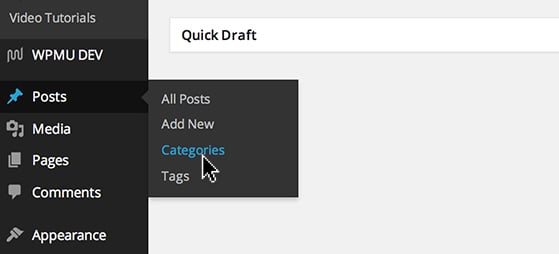 Hover over 'Posts' and click 'Categories'.