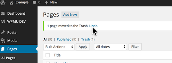 'Undo' will restore the item.