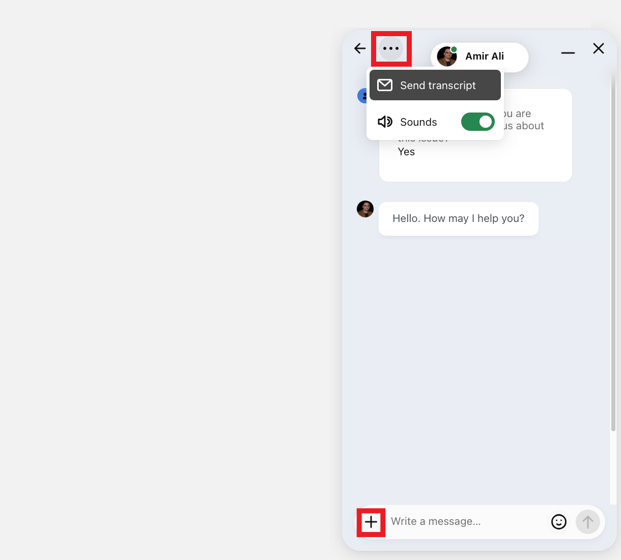 WPMU DEV live chat options
