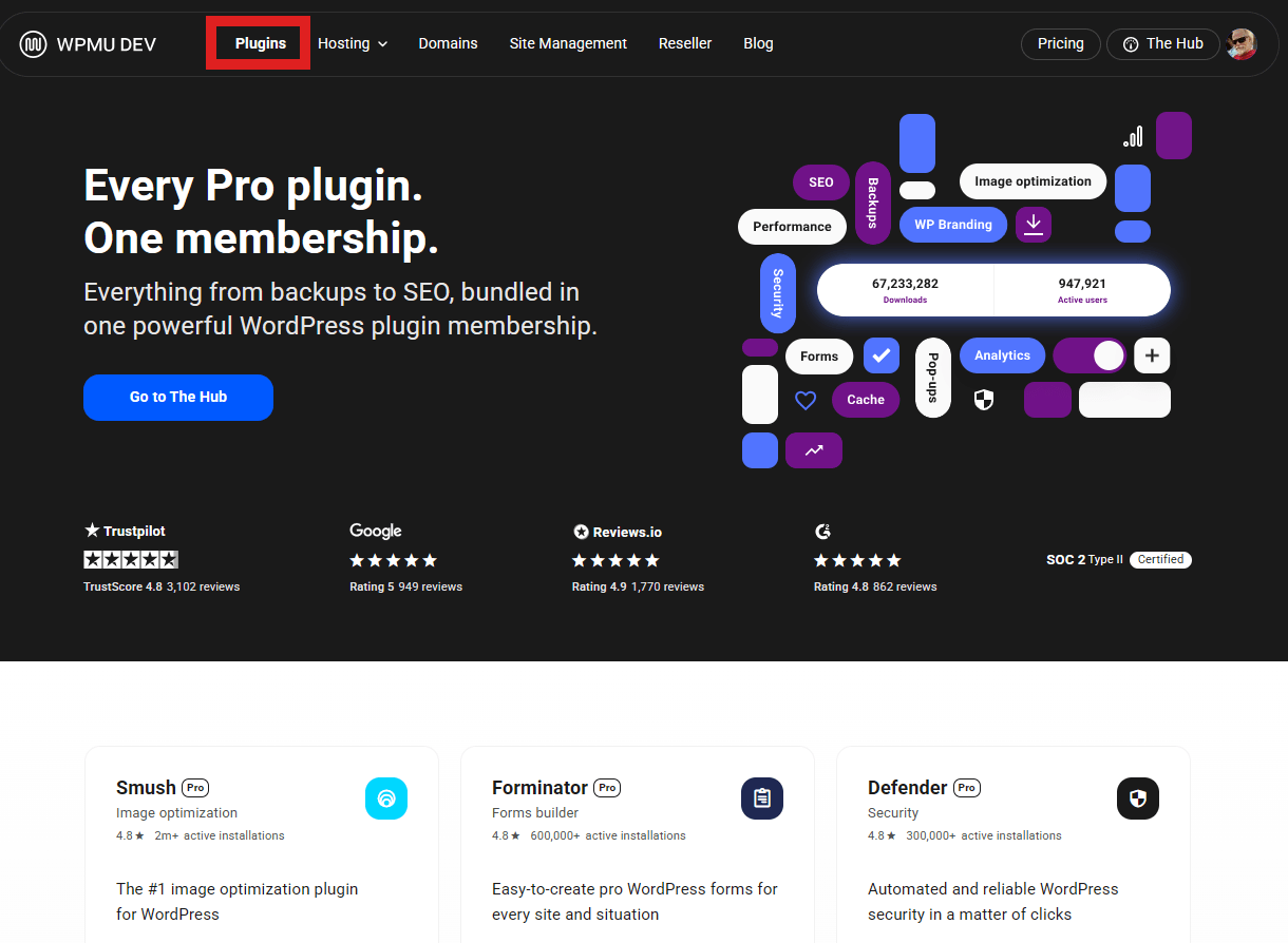 Installing WPMU DEV plugins