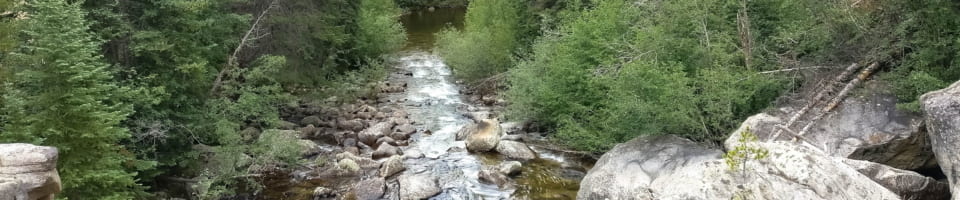 IMG 20170713 111650 2 960x200