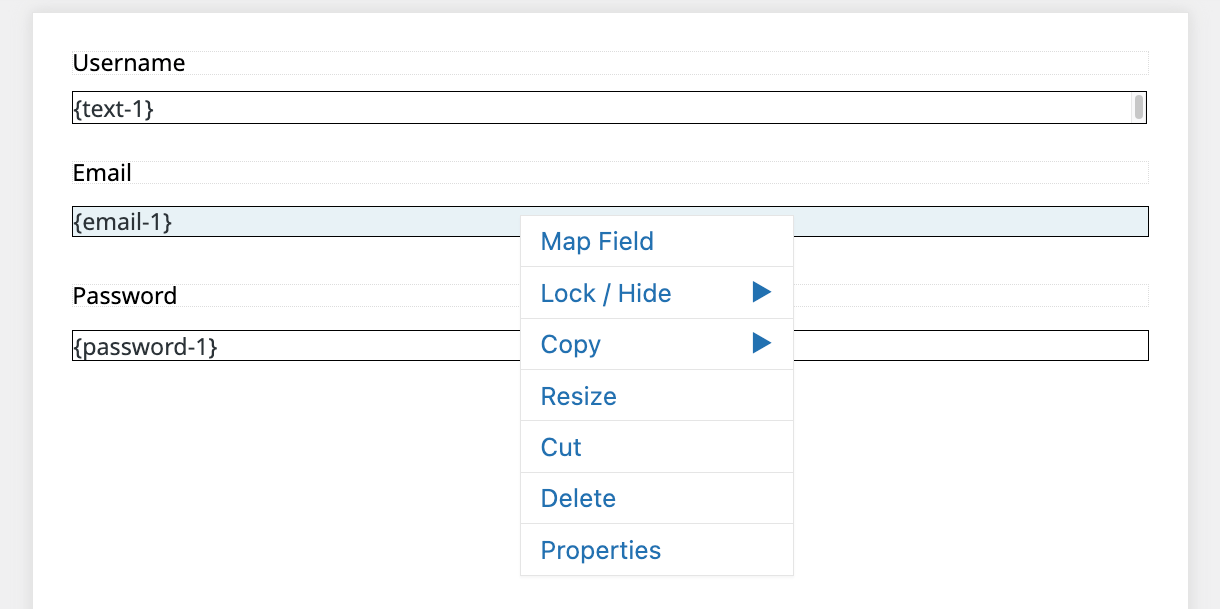 Field options in E2Pdf