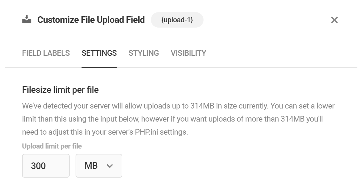 Filesize limit adjusted in Forminator upload field