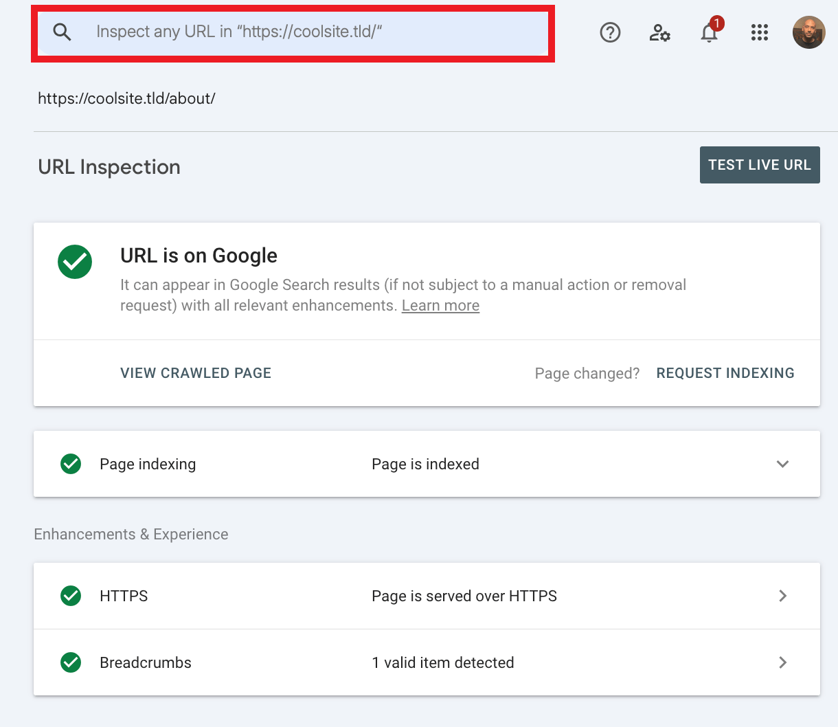 URL confirmed indexed by Google