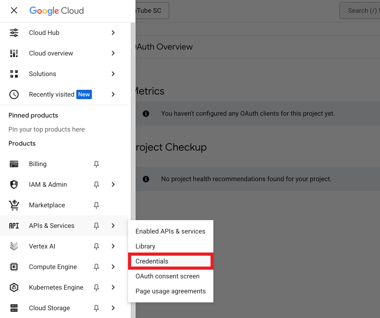 Google console APIs & Services Credentials