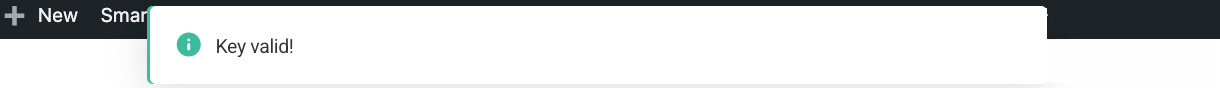 Valid API key entered in SmartCrawl