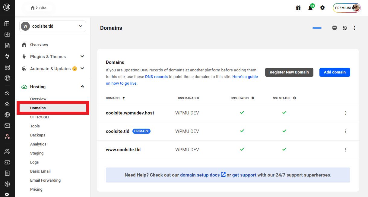 Domains options under the Hosting Category in the Hub