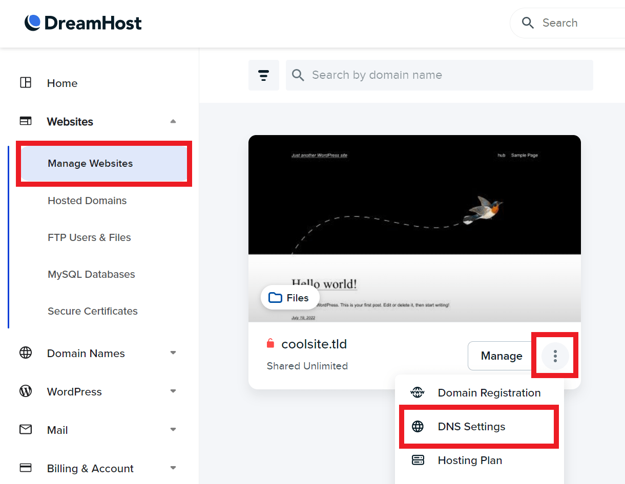 DNS settings at Dreamhost