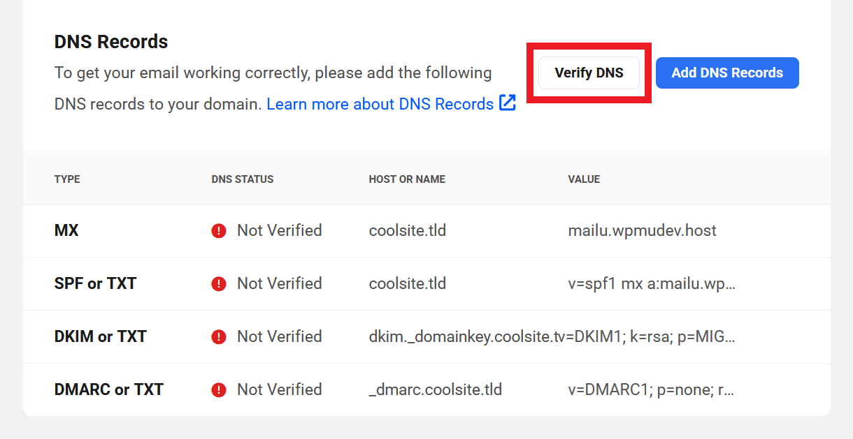 Verify DNS