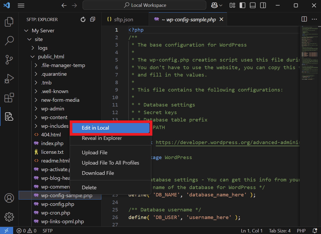 Edit a file locally in VS Studio