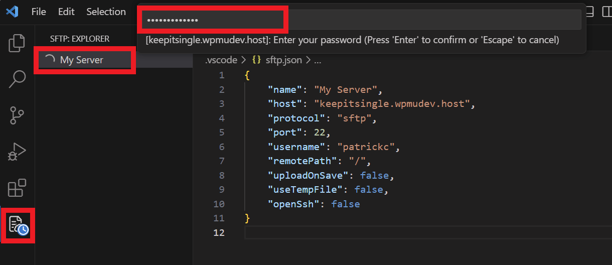 Add the SFTP user password to connect to the server