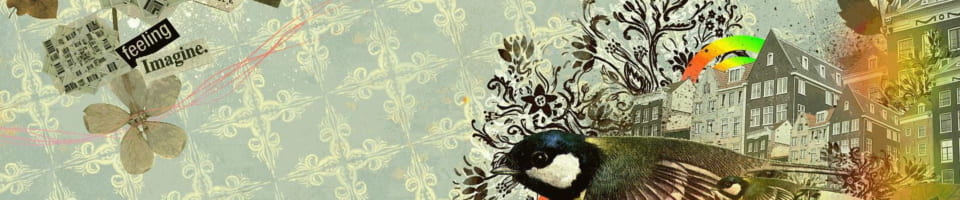 opajdara background 960x200