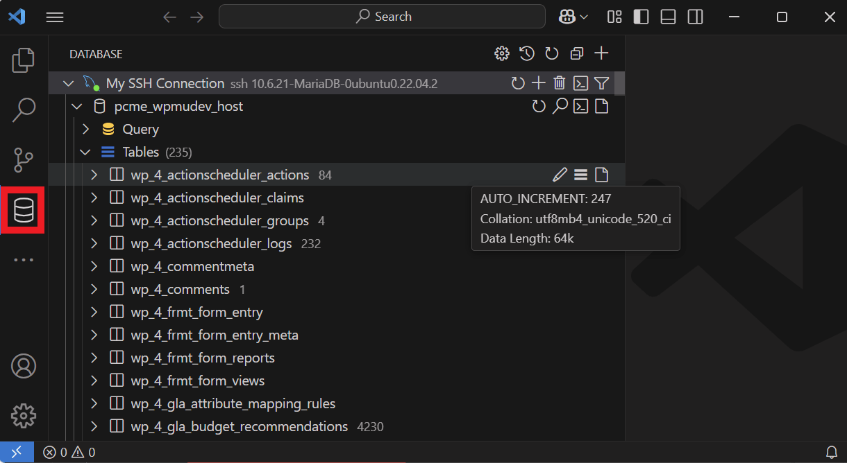 Securely connected to the database with VS Code