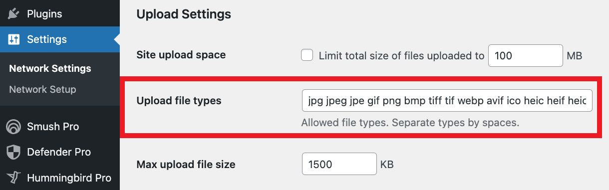 Modifying file type and size limits