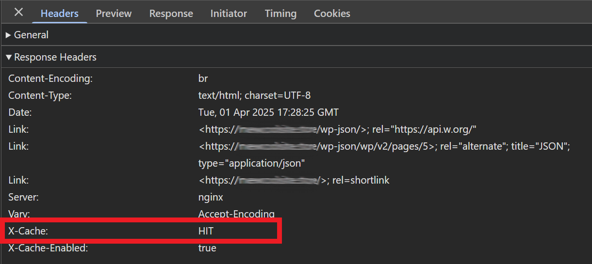 Check if static cache is enabled using browser tools